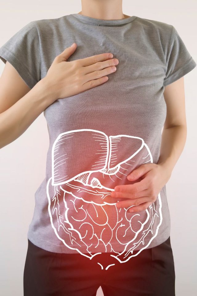 gastrointestinal health gastrointestinal health